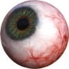 Eyeball
