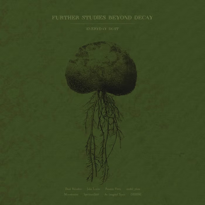Further Studies Beyond Decay